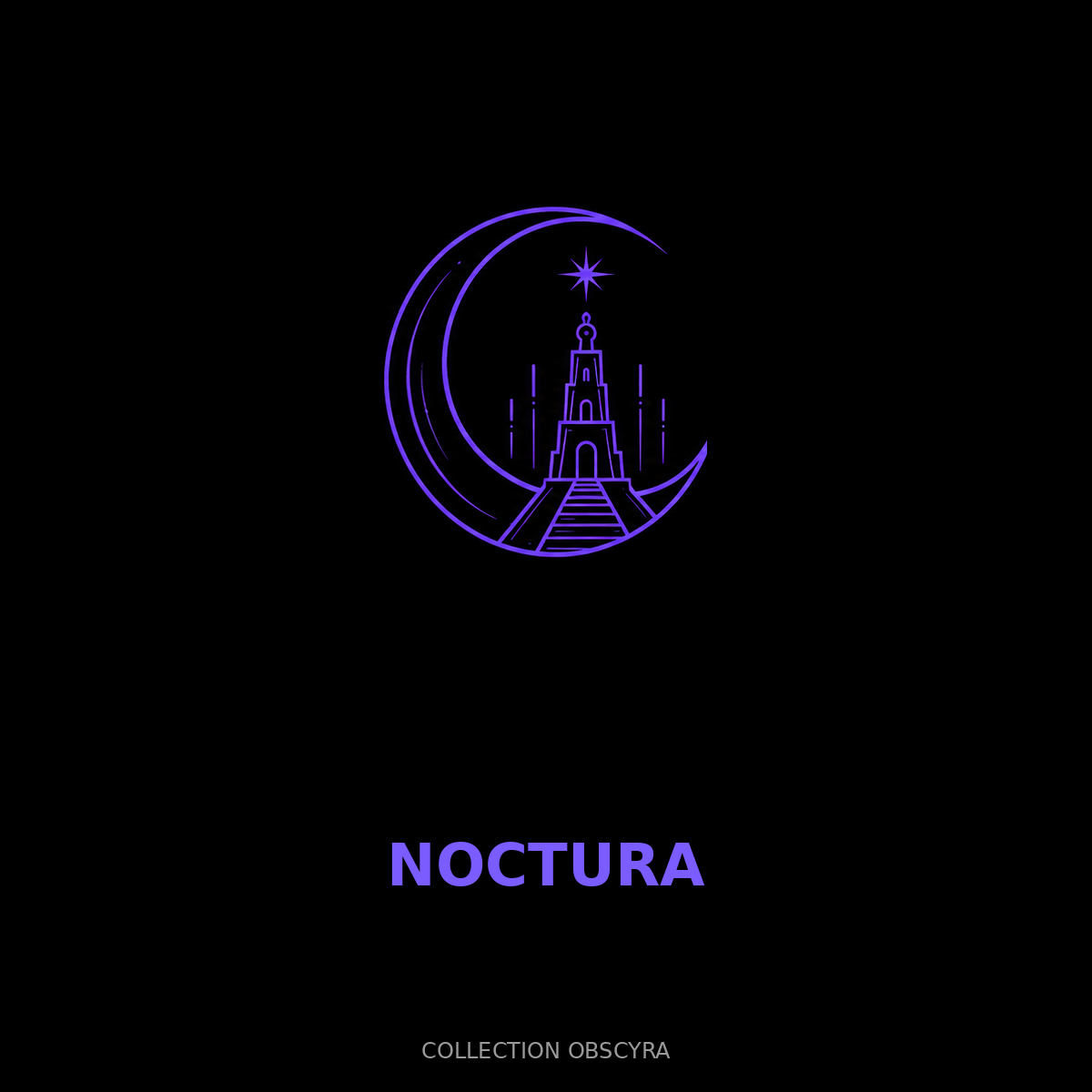 Logo Noctura